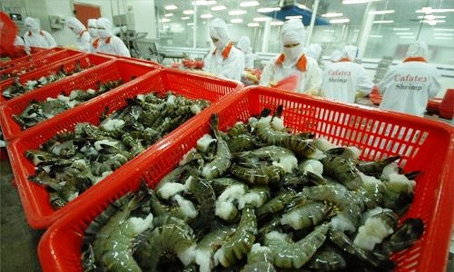 Promotion de l’exportation des produits agricoles vietnamiens au Canada ảnh 1 Promotion de l’exportation des produits agricoles vietnamiens au Canada ảnh 1