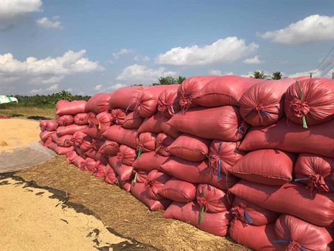 Cà Mau cherche à adapter son économie au contexte de crise sanitaire ảnh 2