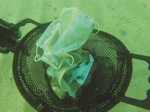 Masques contre le COVID-19, un nouveau risque pour l'environnement ảnh 3 Masques contre le COVID-19, un nouveau risque pour l'environnement ảnh 3