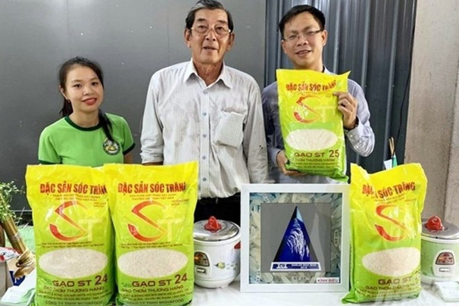 Pour protéger les marques du riz ST24 et du riz ST25 du Vietnam ảnh 1 Pour protéger les marques du riz ST24 et du riz ST25 du Vietnam ảnh 1