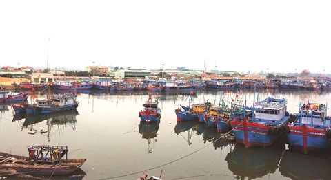 Le secteur de la pêche manque de main-d’œuvre ảnh 1 Le secteur de la pêche manque de main-d’œuvre ảnh 1