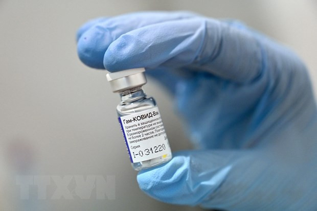 COVID-19 : un vaccin russe approuvé par le ministère de la Santé ảnh 1 COVID-19 : un vaccin russe approuvé par le ministère de la Santé ảnh 1