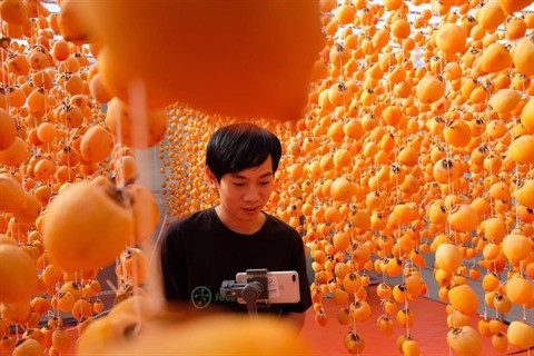 FoodMap promeut les spécialités agricoles vietnamiennes ảnh 1