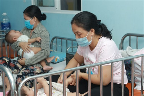 Maladies estivales : redoublez de vigilance ! ảnh 1 Maladies estivales : redoublez de vigilance ! ảnh 1