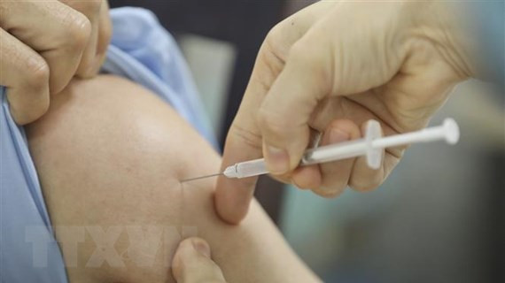 COVID-19 : aucun nouveau cas détecté au cours des 12 dernières heures ảnh 1 COVID-19 : aucun nouveau cas détecté au cours des 12 dernières heures ảnh 1