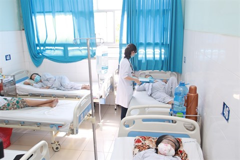 Maladies estivales : redoublez de vigilance ! ảnh 2 Maladies estivales : redoublez de vigilance ! ảnh 2