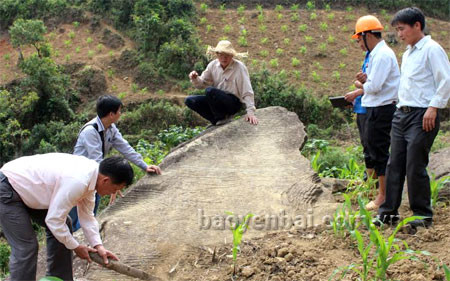 Des oeuvres d'art rupestre découvertes à Yen Bai ảnh 1 Des oeuvres d'art rupestre découvertes à Yen Bai ảnh 1