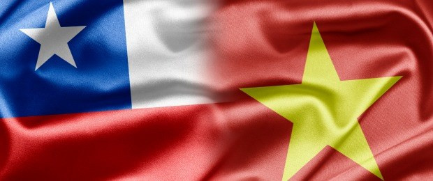 Vietnam et Chili renforcent leurs échanges ảnh 1