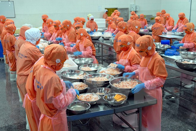 Signe positif pour les exportations de crevettes du Vietnam ảnh 1