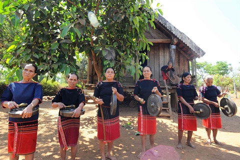 Cours de gong estivaux à Dak Lak ảnh 2 Cours de gong estivaux à Dak Lak ảnh 2
