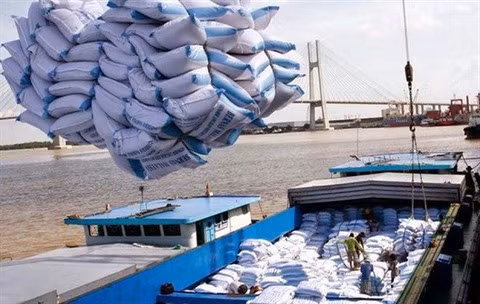 Montée en flèche des exportations vietnamiennes de riz en Indonésie en dix mois ảnh 1