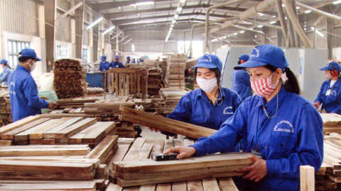 Les exportations de produits sylvicoles atteignent 8,49 milliards de dollars en 11 mois ảnh 1 Les exportations de produits sylvicoles atteignent 8,49 milliards de dollars en 11 mois ảnh 1