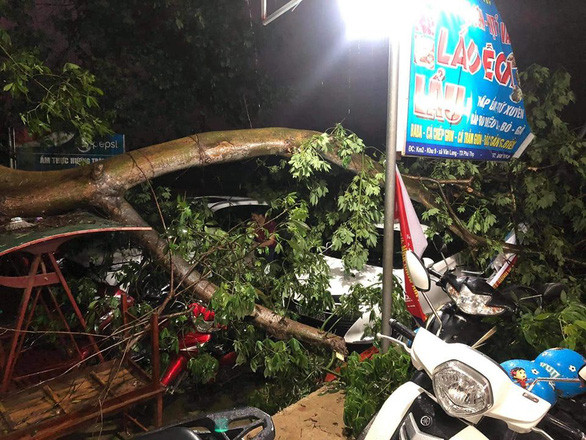 Des pluies torrentielles font un mort et 12 blessés dans les provinces du Nord ảnh 1