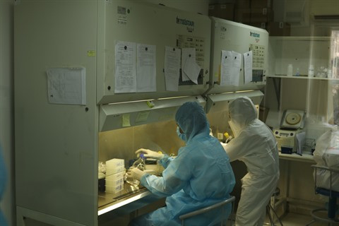 COVID-19: le vaccin "made in Vietnam" se révèle efficace sur la souris ảnh 1