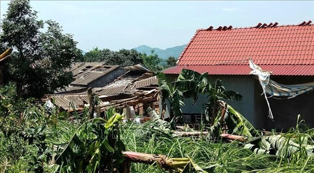 Les catastrophes naturelles causent des pertes de 3,6 millions de dollars dans la région du Nord ảnh 1 Les catastrophes naturelles causent des pertes de 3,6 millions de dollars dans la région du Nord ảnh 1