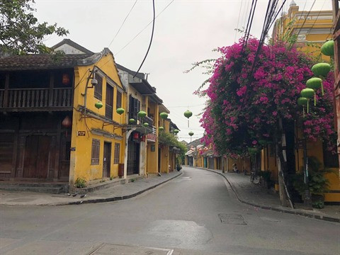 COVID-19 : les guides touristiques entrent en résistance ảnh 1