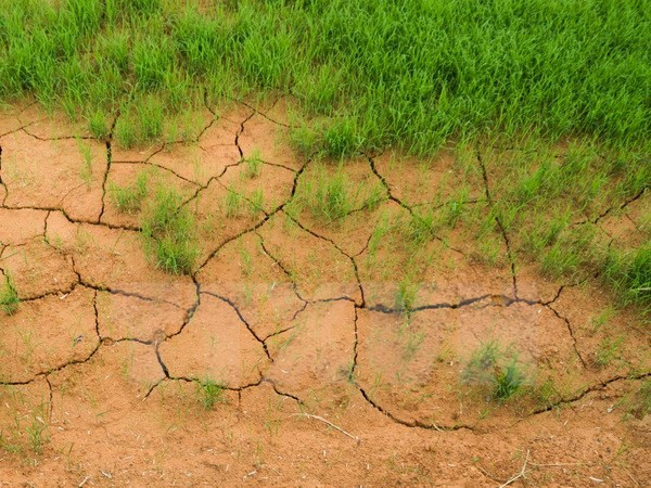 Environnement : le Vietnam partage ses politiques lors d'un sommet régional ảnh 1 Environnement : le Vietnam partage ses politiques lors d'un sommet régional ảnh 1