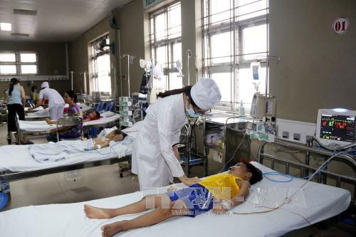 La dengue est de plus en plus maîtrisée ảnh 1 La dengue est de plus en plus maîtrisée ảnh 1