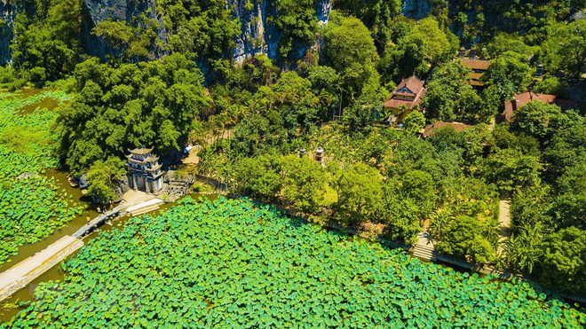 Tam Coc-Bich Dong à la saison des lotus ảnh 1