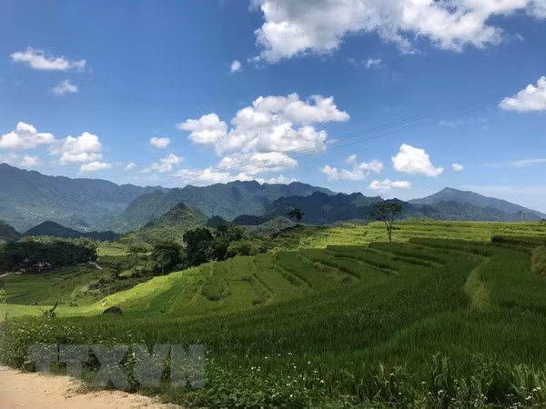 La conférence appelle à l'aide financière des ONG pour Thanh Hoa ảnh 1