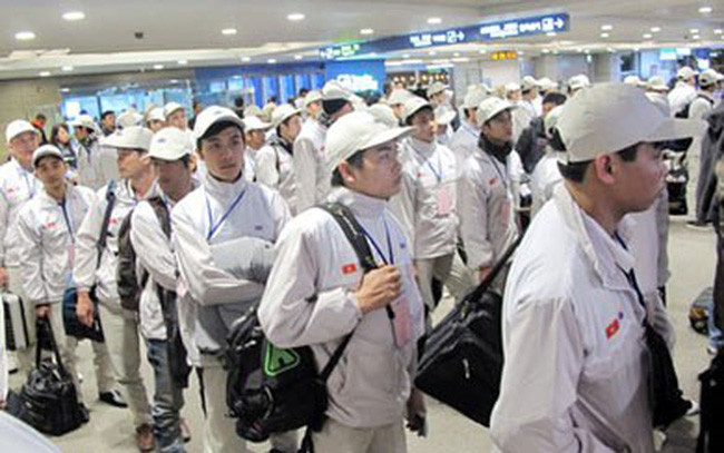 Environ 60.000 travailleurs vietnamiens sont partis à l’étranger en six mois ảnh 1 Environ 60.000 travailleurs vietnamiens sont partis à l’étranger en six mois ảnh 1