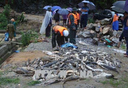 La Croix-Rouge du Vietnam accorde une aide aux victimes des crues ảnh 1 La Croix-Rouge du Vietnam accorde une aide aux victimes des crues ảnh 1