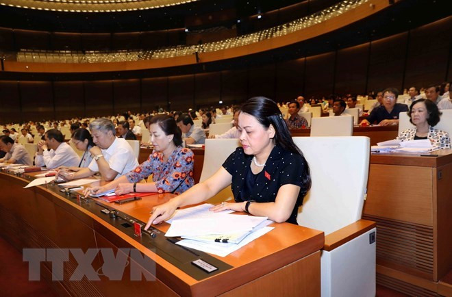 L’AN promulgue le programme d’élaboration de la loi et de l’ordonnance de 2019 ảnh 1 L’AN promulgue le programme d’élaboration de la loi et de l’ordonnance de 2019 ảnh 1