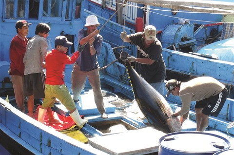 Pêche INN : Le Vietnam s’efforce de satisfaire les critères de la CE ảnh 1 Pêche INN : Le Vietnam s’efforce de satisfaire les critères de la CE ảnh 1