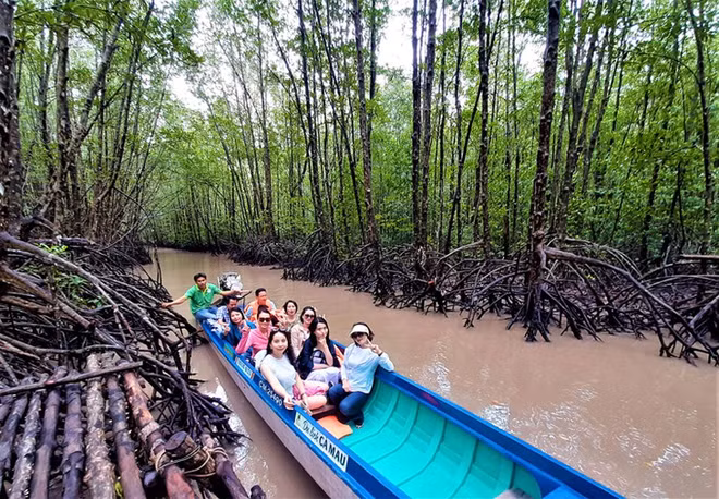 L’«or vert» de Cà Mau ảnh 1 L’«or vert» de Cà Mau ảnh 1
