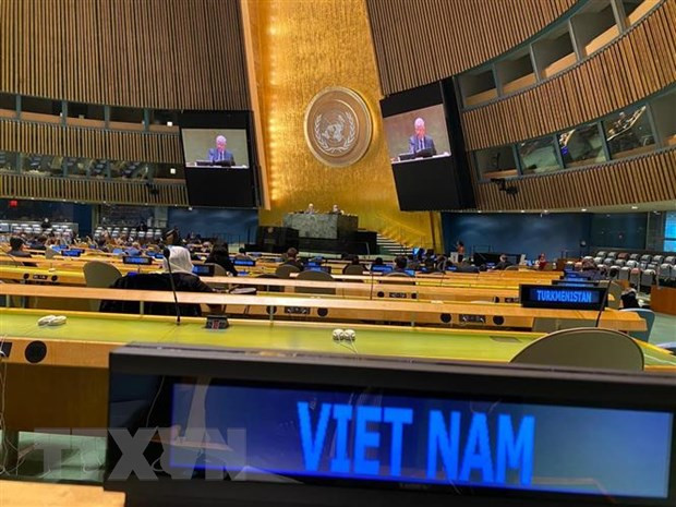 ONU : le Vietnam affirme son rôle au Conseil de sécurité ảnh 1 ONU : le Vietnam affirme son rôle au Conseil de sécurité ảnh 1