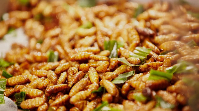 Le Vietnam autorisé à envoyer des insectes destinés à la consommation humaine vers l’UE ảnh 2 Le Vietnam autorisé à envoyer des insectes destinés à la consommation humaine vers l’UE ảnh 2