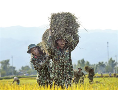 Les jeunes militaires œuvrent pour la Nouvelle ruralité ảnh 1 Les jeunes militaires œuvrent pour la Nouvelle ruralité ảnh 1