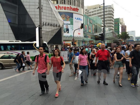 L'État malaisien de Johor renforce la promotion de son tourisme à Ho Chi Minh-Ville ảnh 1