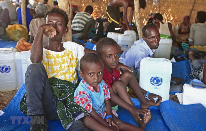 Le Vietnam condamne les violences contre les civils en Éthiopie ảnh 1 Le Vietnam condamne les violences contre les civils en Éthiopie ảnh 1