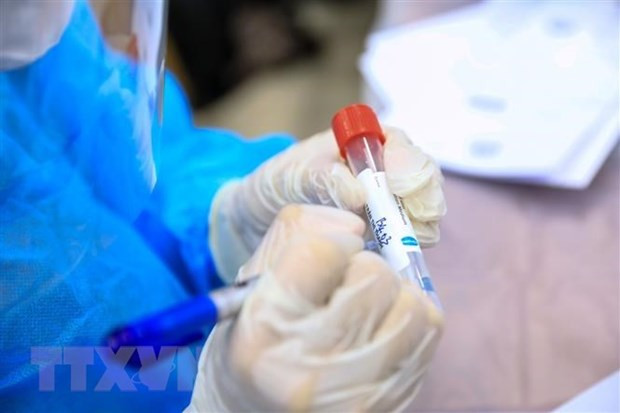 COVID-19 : cinq nouveaux décès annoncés ảnh 1