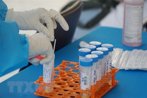 COVID-19 : 353 nouveaux cas détectés samedi après-midi ảnh 1 COVID-19 : 353 nouveaux cas détectés samedi après-midi ảnh 1