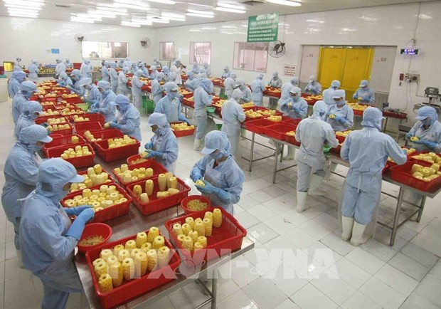 Les exportations de fruits et légumes en hausse de 17,4% au premier semestre ảnh 1 Les exportations de fruits et légumes en hausse de 17,4% au premier semestre ảnh 1