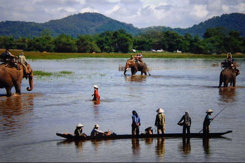 Les experts prennent la défense de l’éléphant au Vietnam ảnh 2 Les experts prennent la défense de l’éléphant au Vietnam ảnh 2