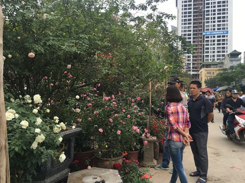 Le marché floral de Van Phuc bat son plein à l’approche du Têt ảnh 1