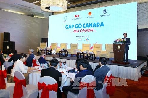 Le Vietnam et le Canada cultivent leurs liens d’amitié et de coopération ảnh 1 Le Vietnam et le Canada cultivent leurs liens d’amitié et de coopération ảnh 1