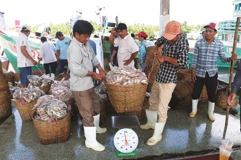 Lutter contre la pêche illicite, une priorité absolue ảnh 2