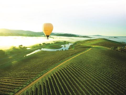 Travailler en ferme en Australie : une expérience unique ! ảnh 2 Travailler en ferme en Australie : une expérience unique ! ảnh 2