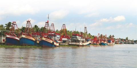 Lutter contre la pêche illicite, une priorité absolue ảnh 1 Lutter contre la pêche illicite, une priorité absolue ảnh 1