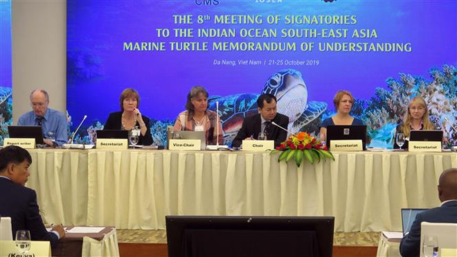 Conservation des tortues marines : la 8ème réunion des États signataires de l'IOSEA MoU à Da Nang ảnh 1 Conservation des tortues marines : la 8ème réunion des États signataires de l'IOSEA MoU à Da Nang ảnh 1