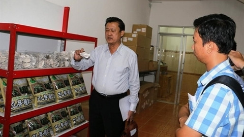 Six grands groupes japonais s’intéressent au secteur agricole vietnamien ảnh 1 Six grands groupes japonais s’intéressent au secteur agricole vietnamien ảnh 1
