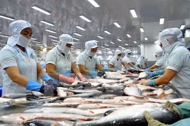 La filière poisson tra vise 2 milliards de dollars d'exportations en 2018 ảnh 1