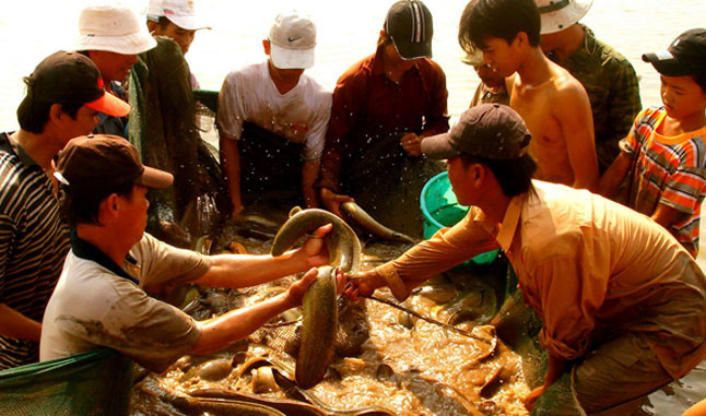 De nombreux produits vietnamiens rejoignent la chaîne d'approvisionnement mondiale ảnh 1 De nombreux produits vietnamiens rejoignent la chaîne d'approvisionnement mondiale ảnh 1