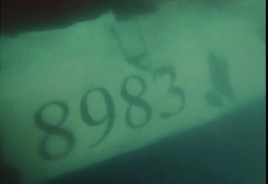 CASA-212 : des corps et de nouveaux débris retrouvés ảnh 2