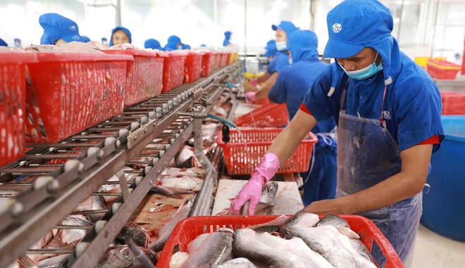 Canada - un marché potentiel pour les produits aquatiques vietnamiens ảnh 1