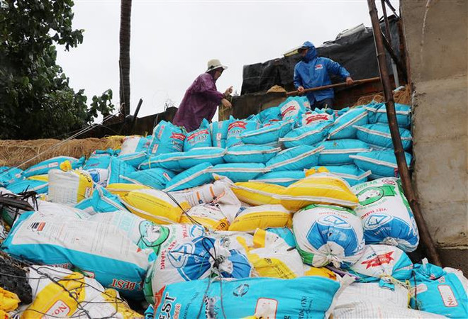 Les localités côtières se préparent au super typhon Rai ảnh 1 Les localités côtières se préparent au super typhon Rai ảnh 1